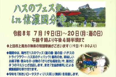 ハスのフェスタ in 信濃国分寺